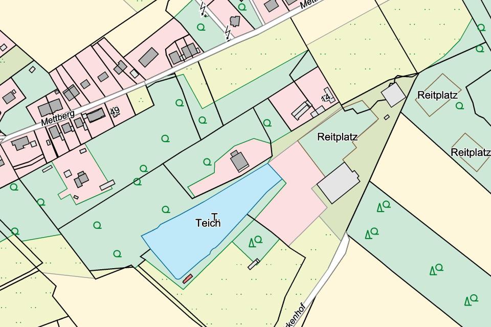 Ausschnitt aus der Amtlichen Basiskarte im Maßstab 1 : 5000, farbige Ausgabe