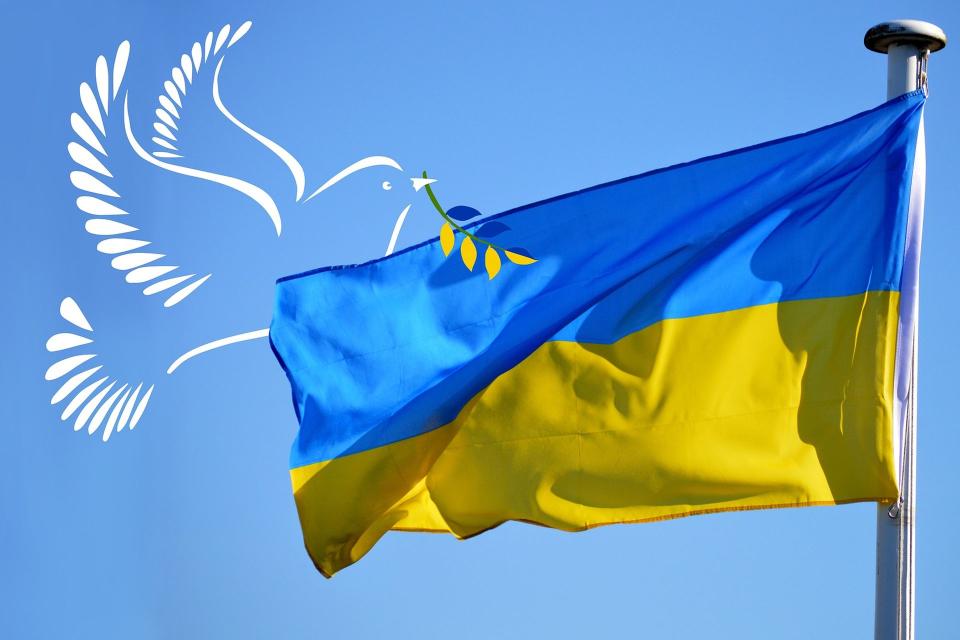 Weiße Friedenstaube und ukrainische Fahne